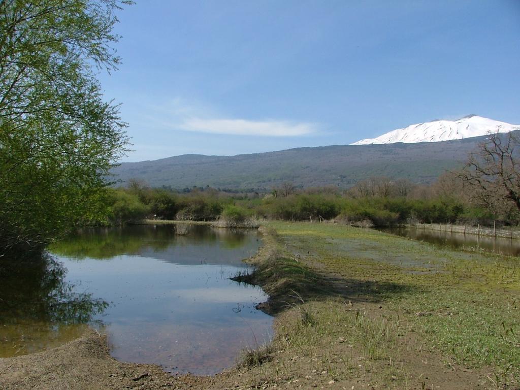 Animosa Suites Castiglione De Sicilia Luaran gambar